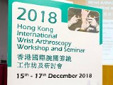 HK Wrist Course 14-18 Dec 2018 - 014.jpg